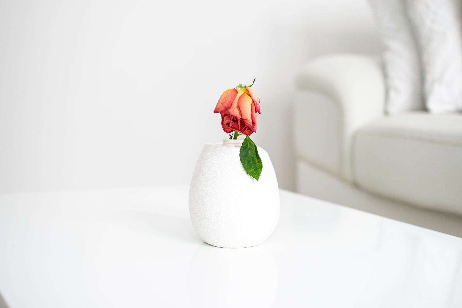 Thanapon Jindapitak (tj), thanapon.jindapitak@gmail.com, +66831568701